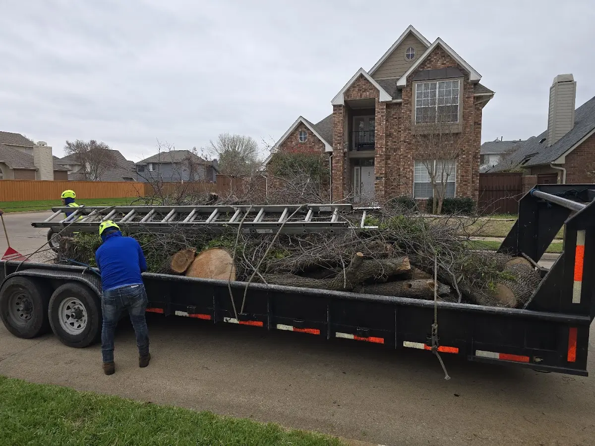 Expert Lot Clearing with proper safety equipment in Irma